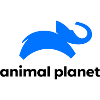 Animal planet